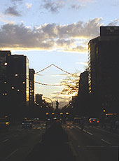 © Foto: Gerhard Haupt